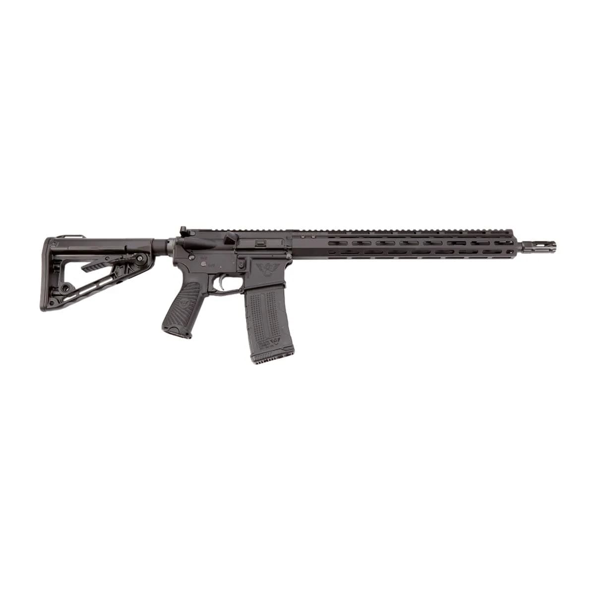 AR-15 Protector Carbine 300 Blackout