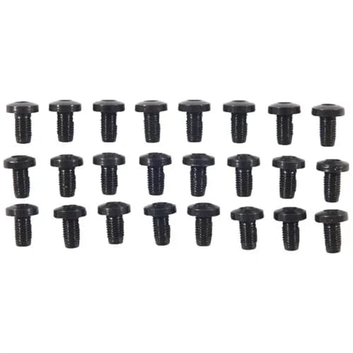 24 pack H/H Blue Screws