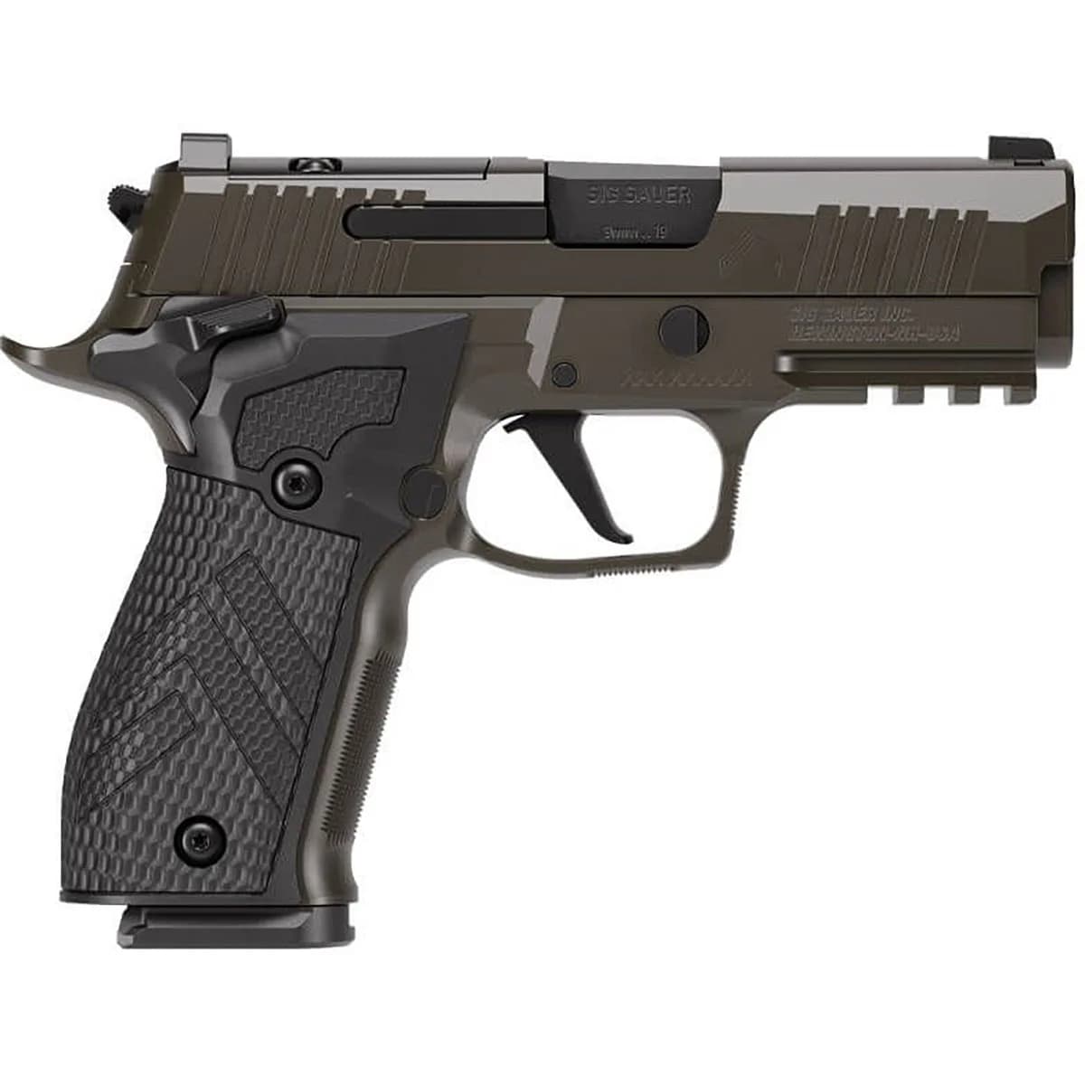 P226-XCARRY LEGION 9mm Luger 3.8" BBL (3)18RD Gray SAO - photo 6
