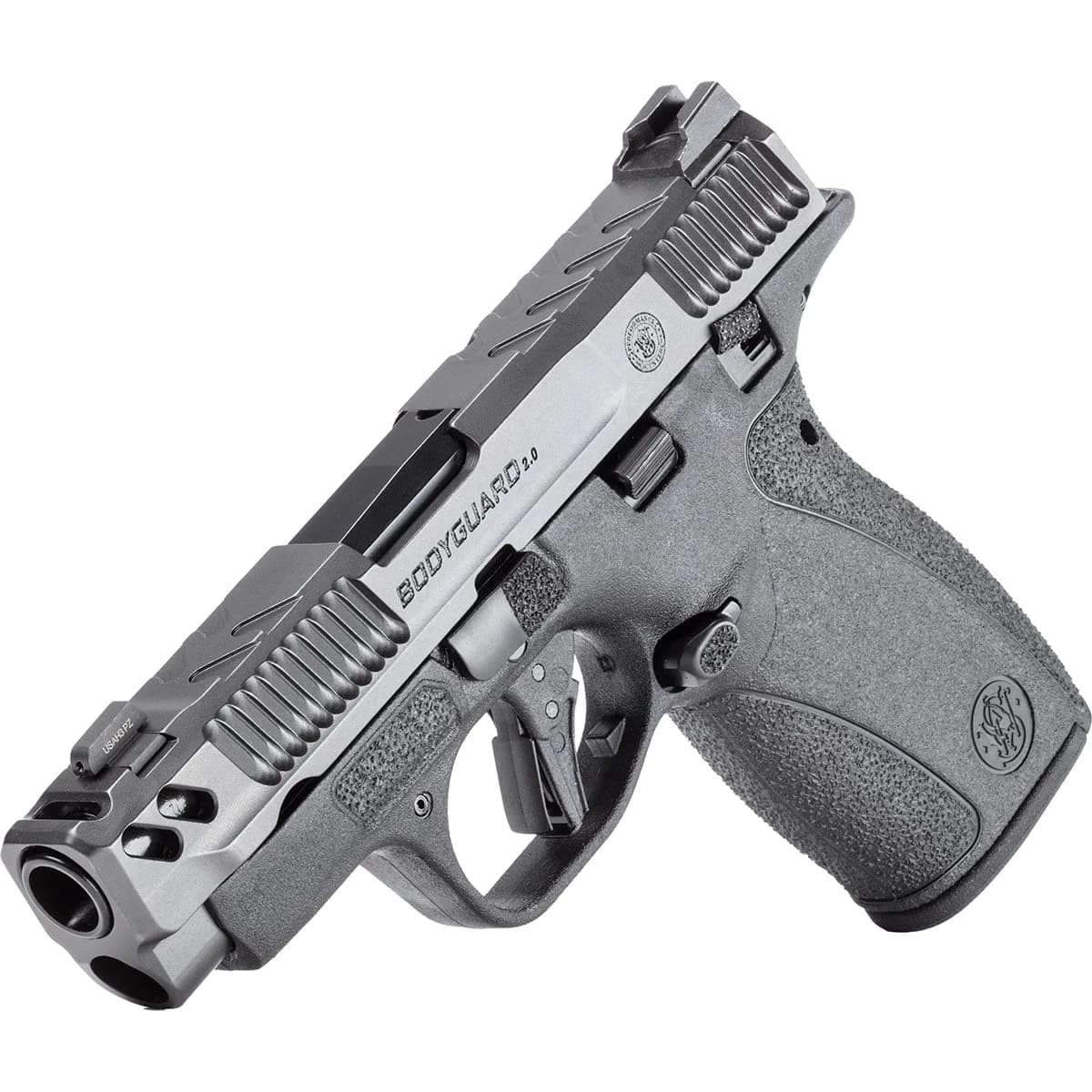 PC Bodyguard 2.0 CarryComp 380 ACP 3.1" BBL (2)10RD Mags TS