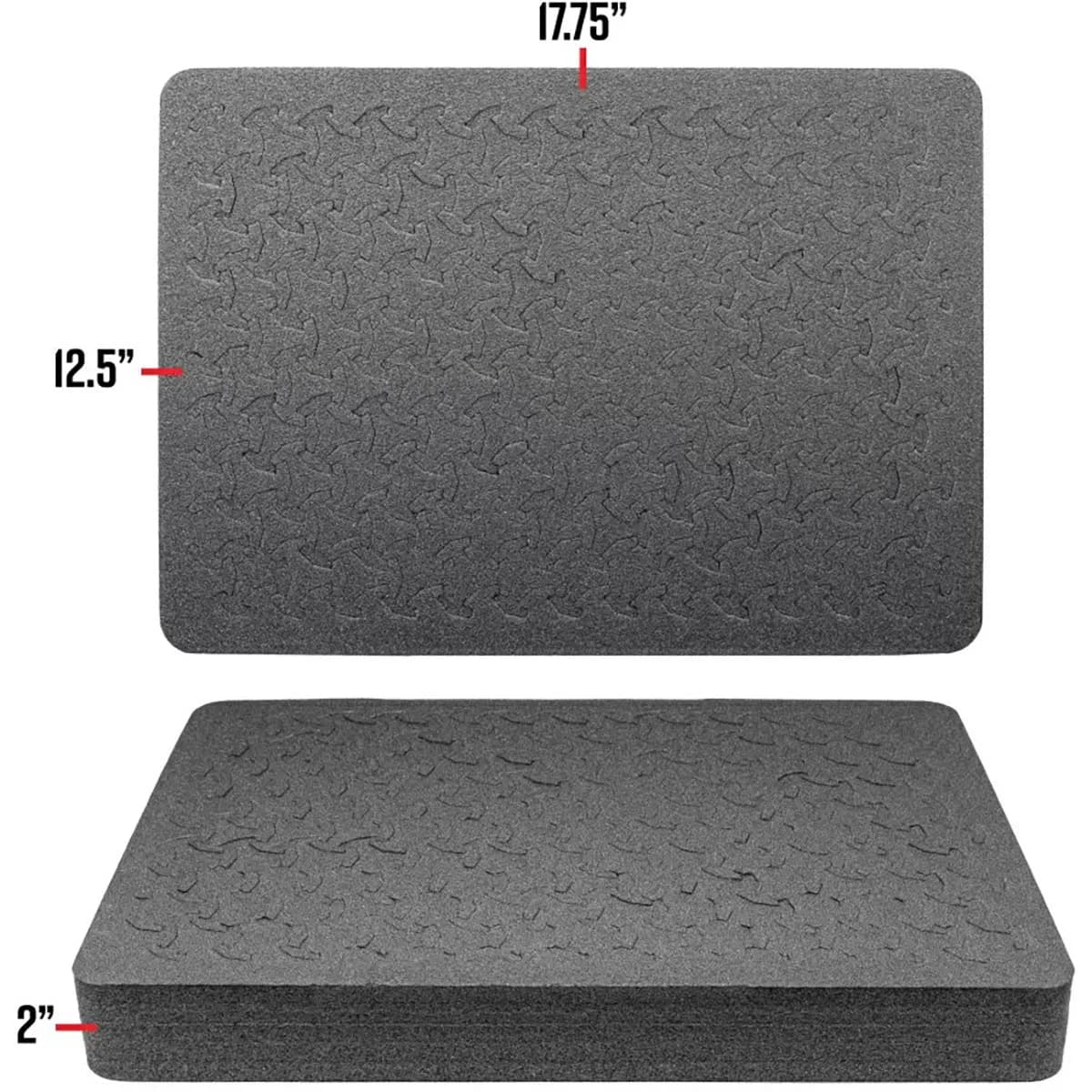 RAGAR Foam Insert 17.75"x12.5" for Eylar 20" Camera/Drone CS