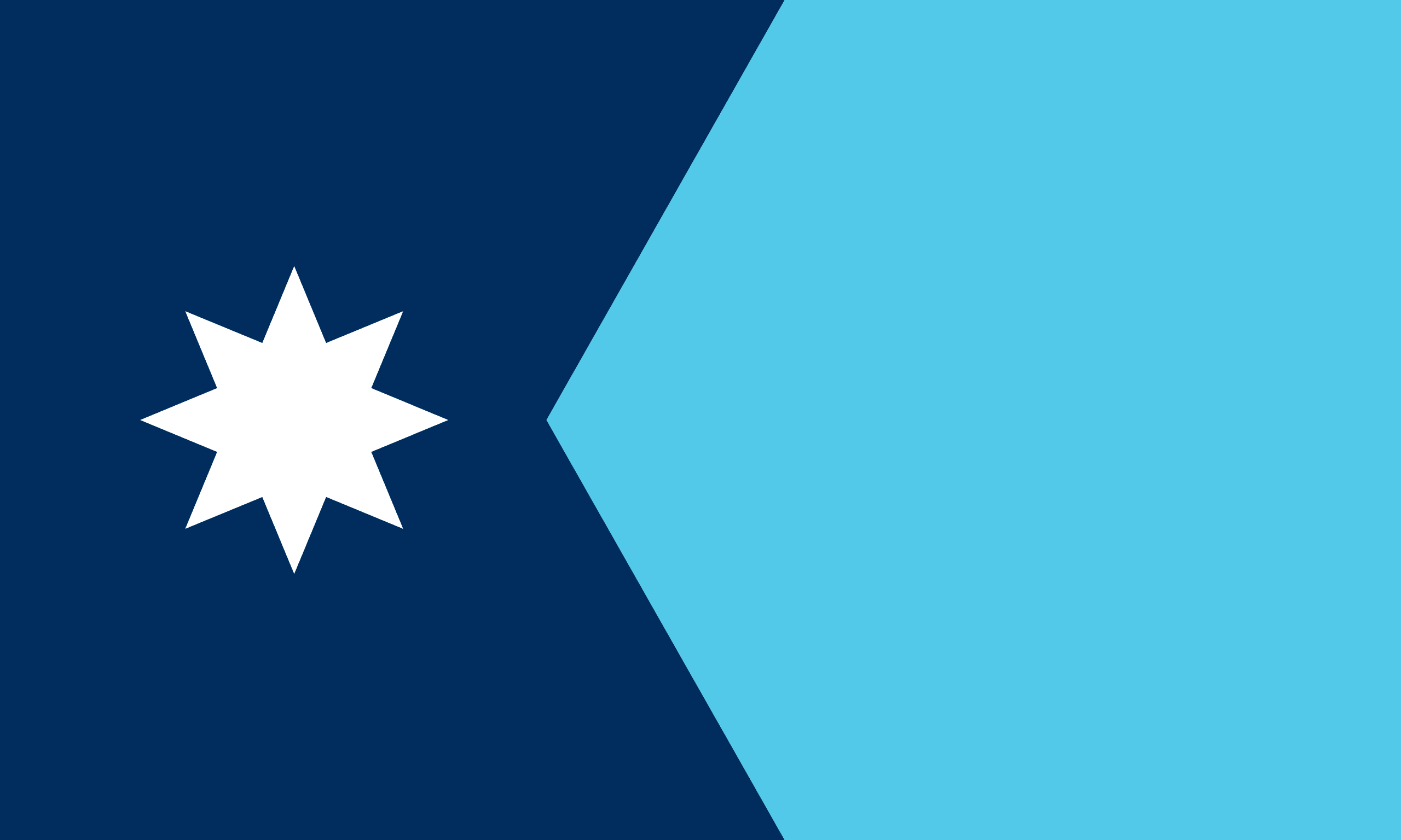 Minnesota flag