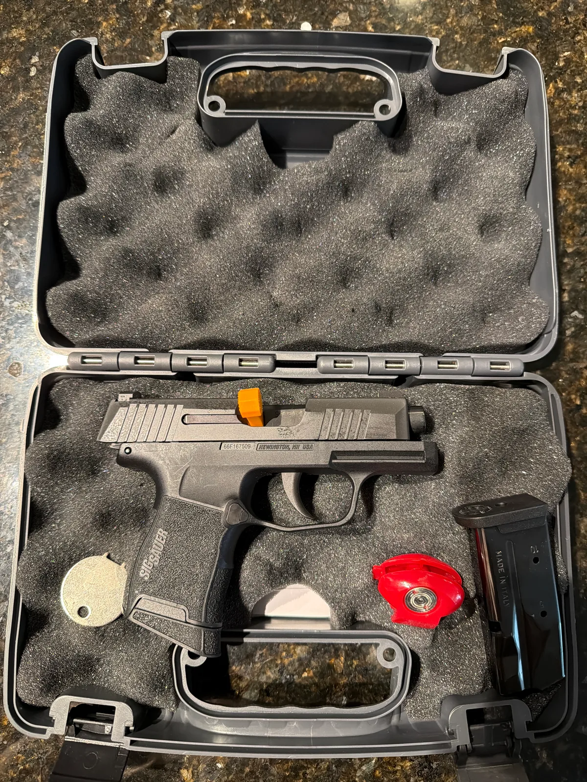 Sig P365