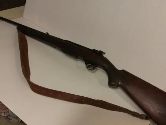 winchester model 100