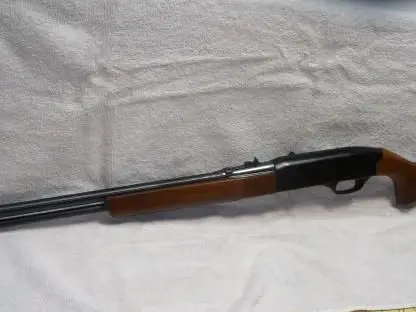 Winchester 190 Rifle