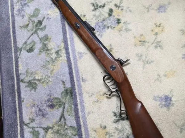 Thompson Center Arms Renegade .50cal