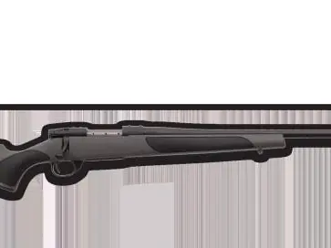 300 Weatherby Mag