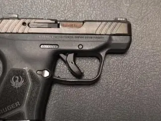 Ruger LCP Max