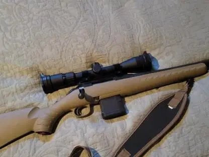 Ruger Ranch 300blk
