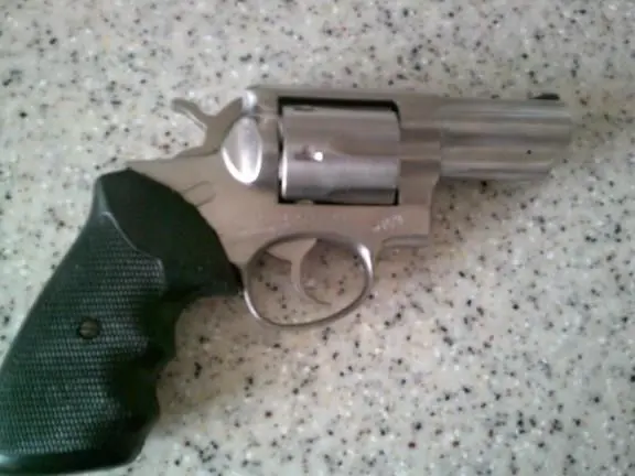 Ruger Speed Six