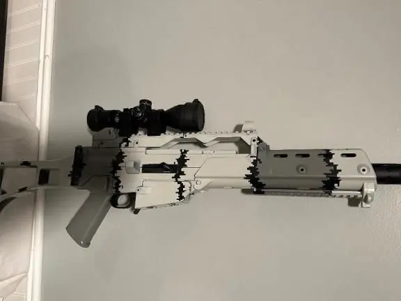 Custom Ruger 10/22