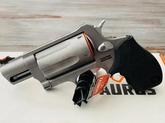 NIB Taurus Public Defender Stainless