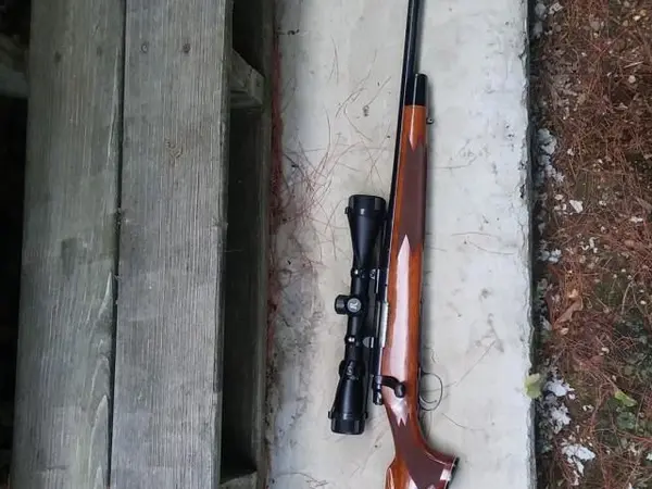 Remington 700 22-250 w/ bases and rings
