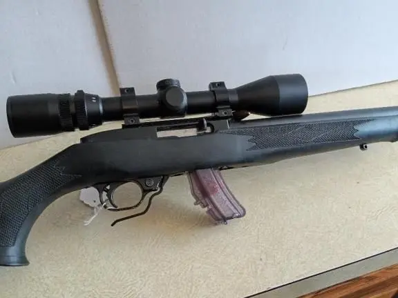 ruger 10-22