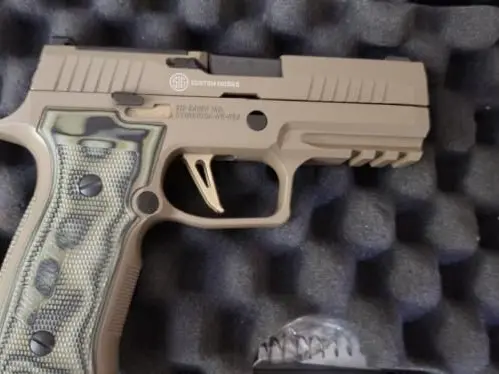 SIG Sauer P320 AXG scorpion.