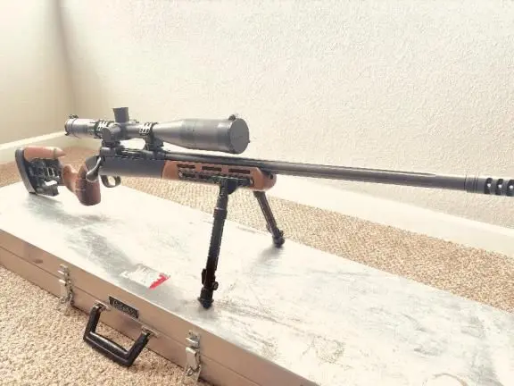 Full custom Savage Model 10 .308