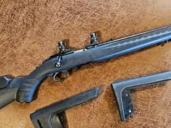 Ruger American Rimfire .22 magnum