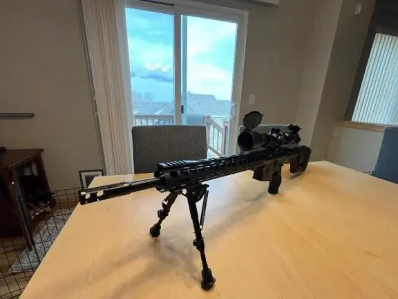 Custom DMR (AR-10)