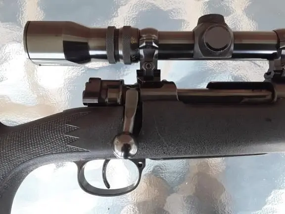 Slug gun