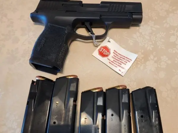 Sig 365 xl
