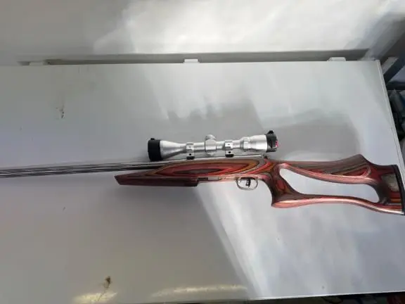 Savage mark 11 bsev