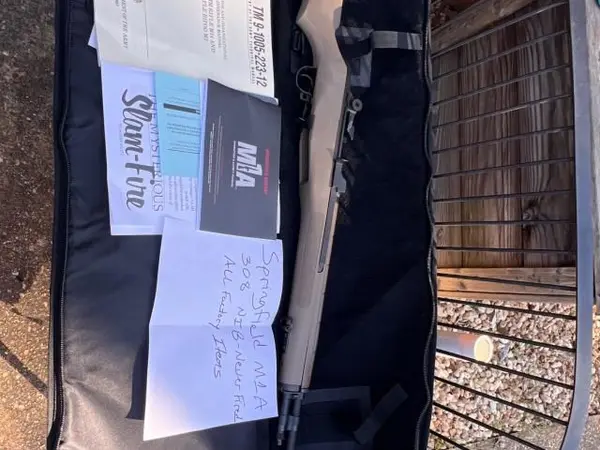 Springfield M1A