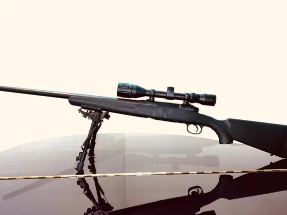 Savage Axis .308 Win