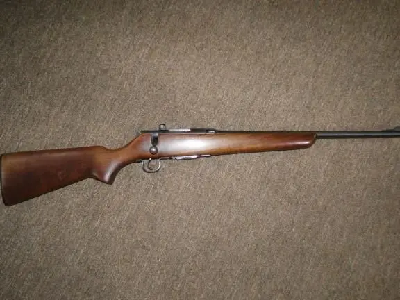 STEVENS 22 HORNETT
