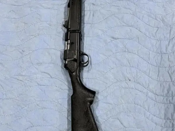 Daisy Legacy Model 2202