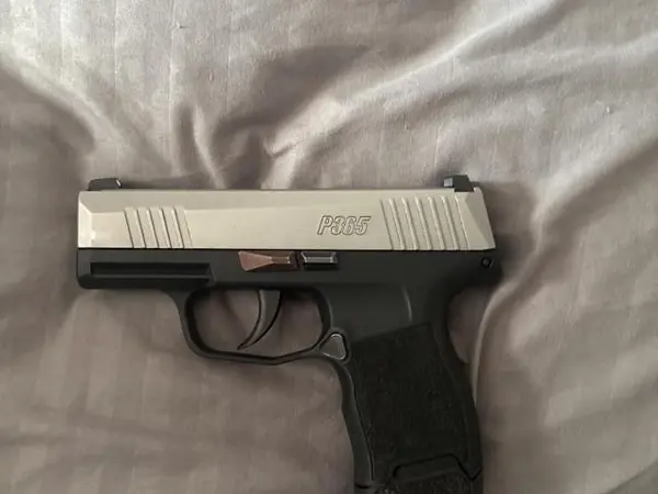 Sig p365