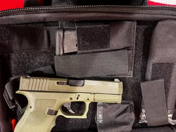Palmetto state armory 9mm