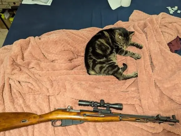 Russian Mosin M44 with no tap drill mount and 2-7 scout scope