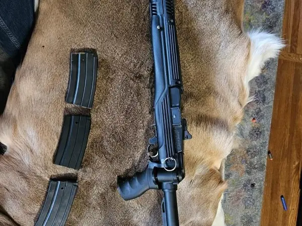 Ranch rifle 223