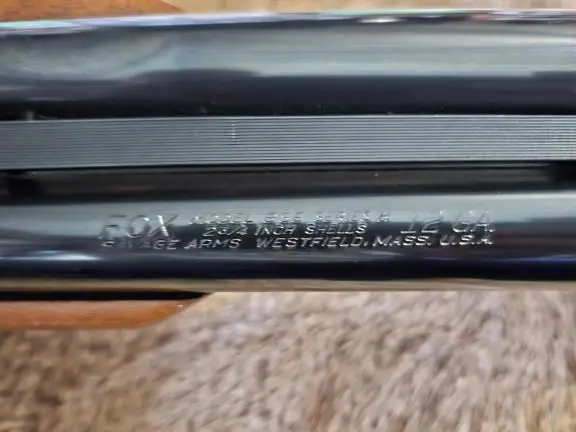 Savage /fox 12 gauge