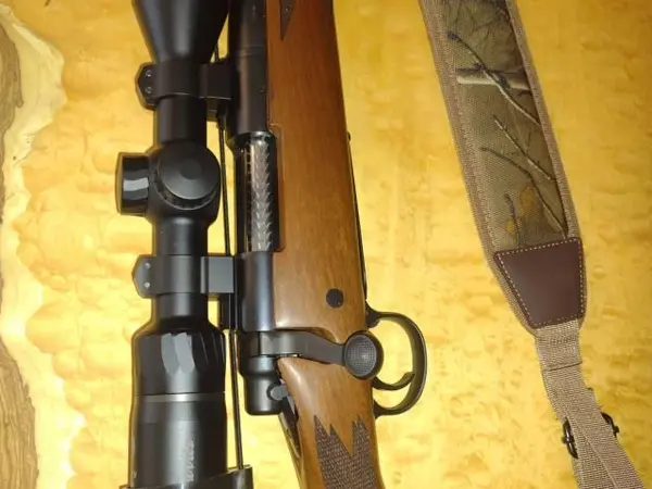 Remington CDL .243