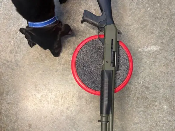 Benelli M4 ODG