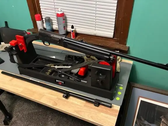 Browning A5 Light Twelve