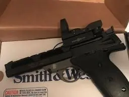 smith&wesson 22a-1