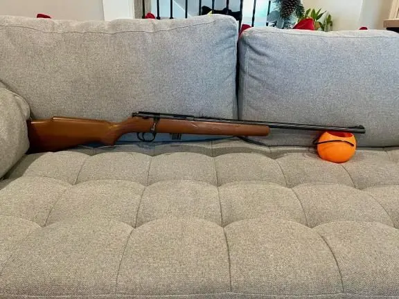 Marlin 25N (22LR)