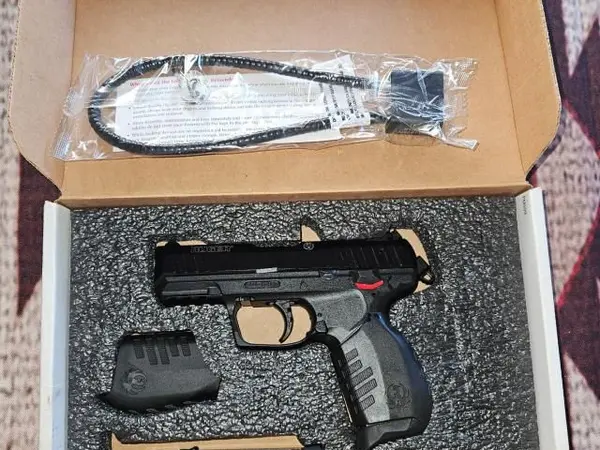 Ruger 22
