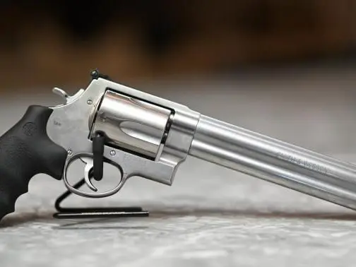 S&W 500