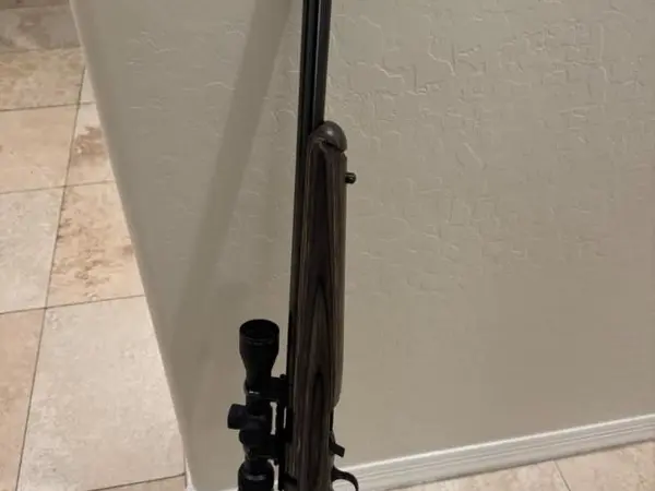 Ruger 17HMR