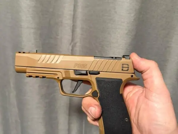 Sig P365 DH3