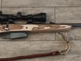 Mauser Modelo Argentino Model 1891