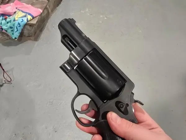 S&w governor