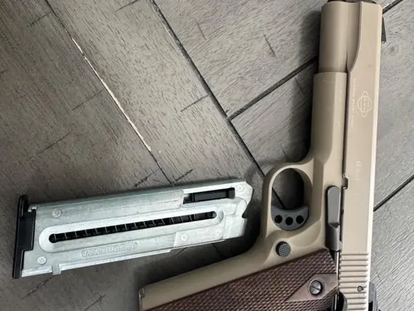GSG 1911 22