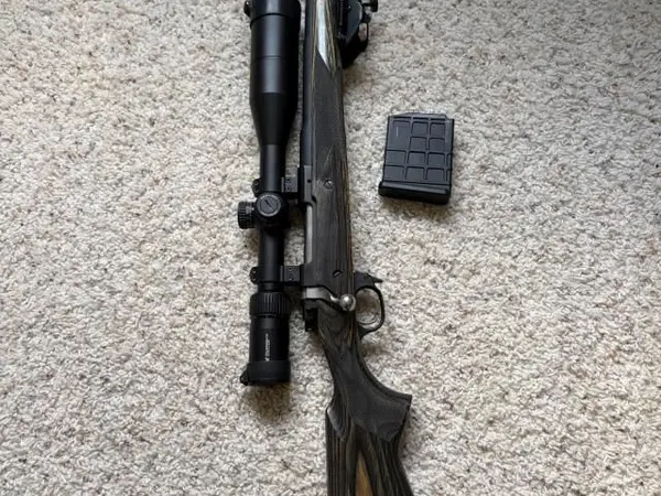 Ruger Gunsite Scout .308