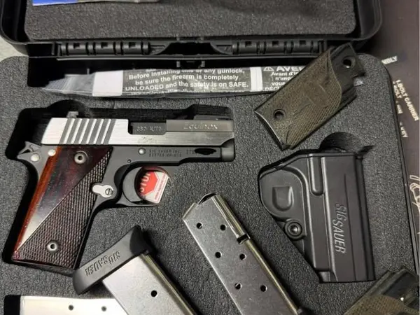Sig P238 Equinox .380