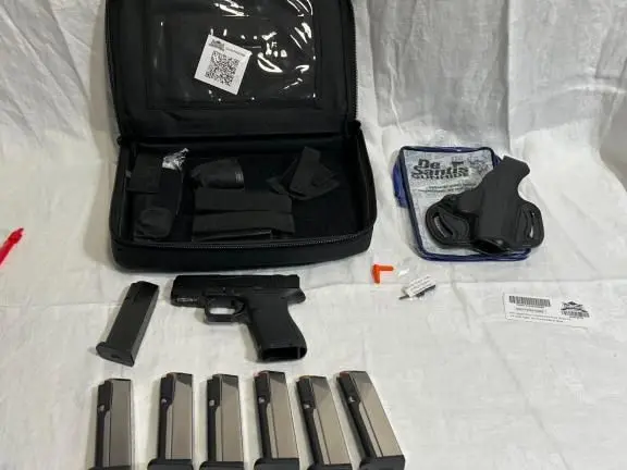PSA Micro Dagger NS/RMR cutout and 7 magazines. Plus about 400 rounds of 9mm 115gr ammo.