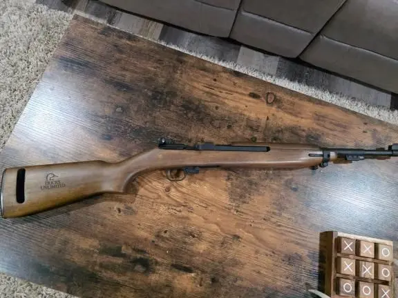 Chiappa M-1 22